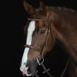 Collegiate Fancy Stitched Raised Cavesson Bridle