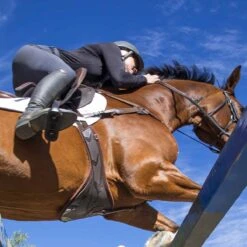 Professional's Choice Contoured Jump Belly Girth -Ovation Store 206195 lifestyle