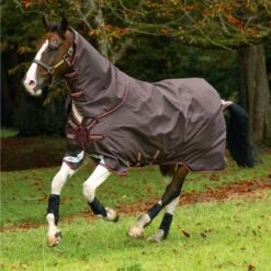 Amigo Bravo 12 Plus 100g Turnout With Disc Closure -Ovation Store 206318 BrownRedGoldRed