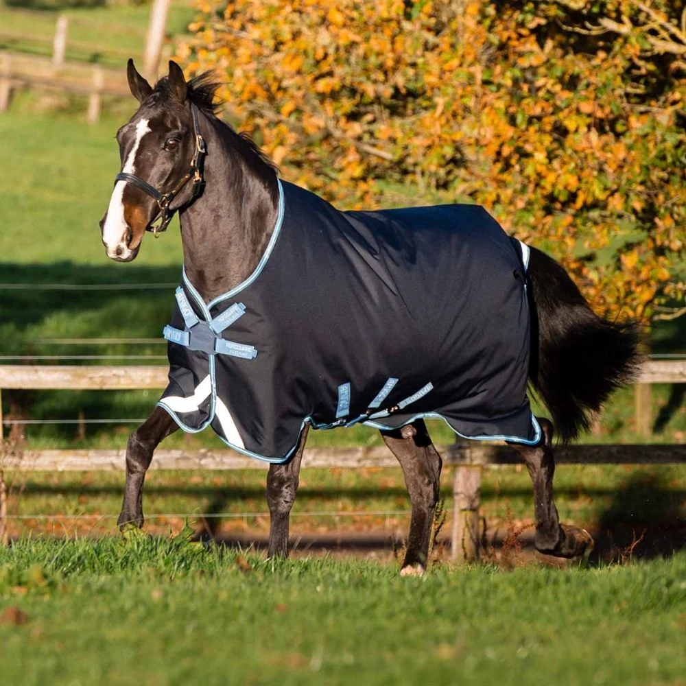 Amigo Bravo 12 100g Turnout With Disc Closure 4 Amigo Bravo 12 100g Turnout With Disc Closure - Image 2