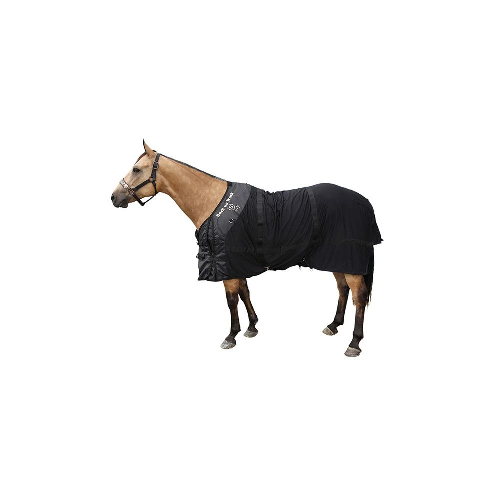 Back On Track Mesh Sheet 4 Back On Track Mesh Sheet - Image 2