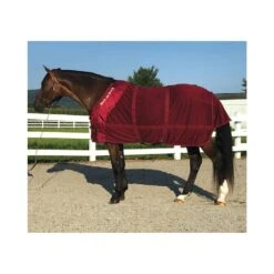 Back On Track Mesh Sheet 9 Back On Track Mesh Sheet -Ovation Store 206478 burgundy 16