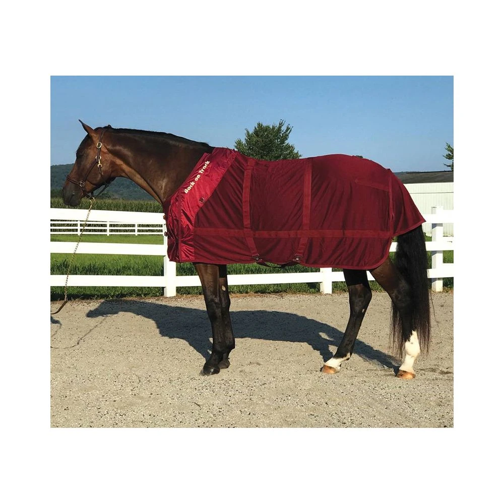 Back On Track Mesh Sheet 5 Back On Track Mesh Sheet - Image 3