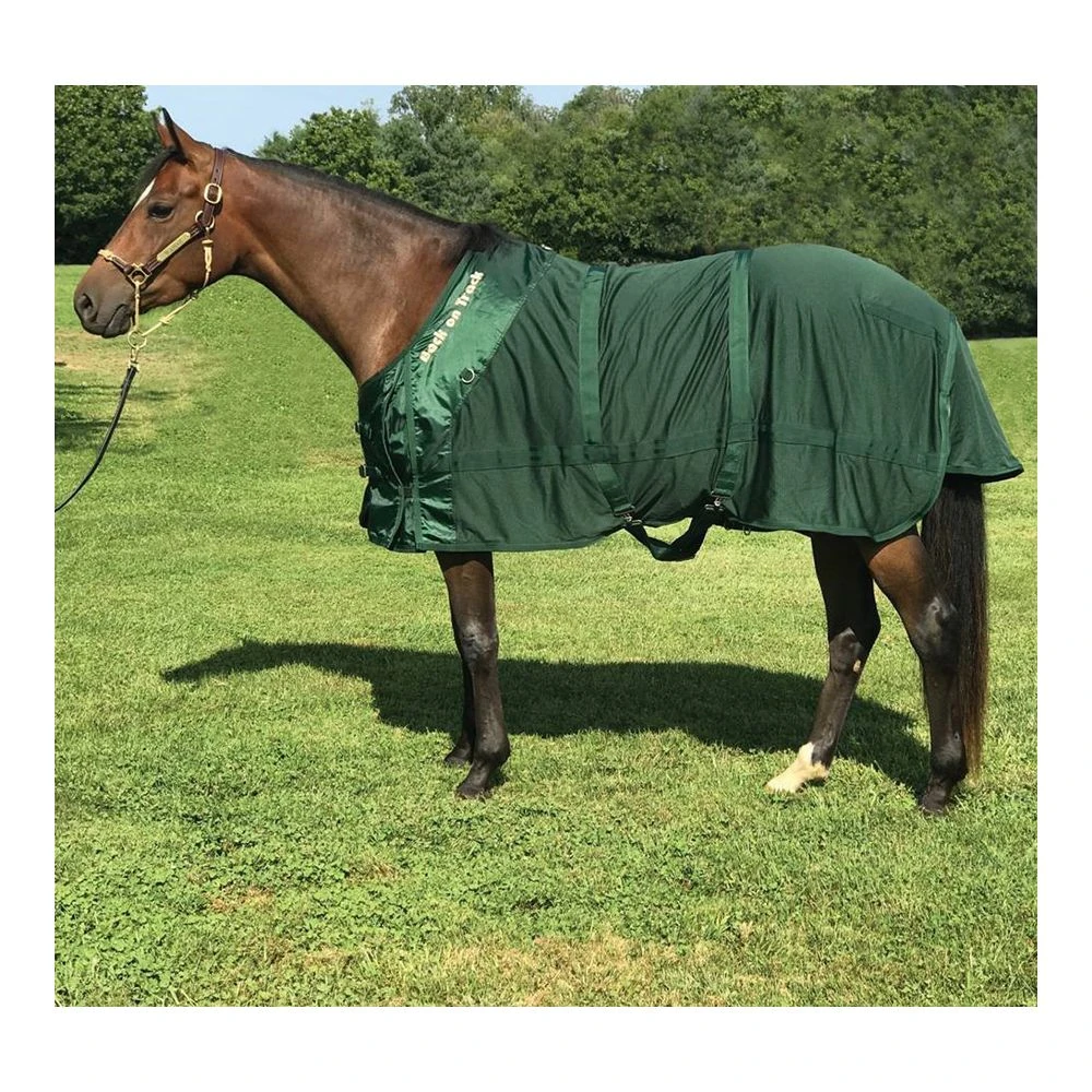 Back On Track Mesh Sheet 6 Back On Track Mesh Sheet - Image 4