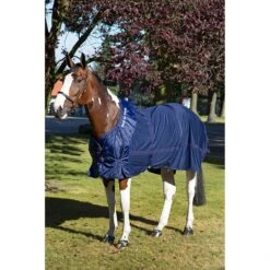 Back On Track Mesh Sheet 11 Back On Track Mesh Sheet -Ovation Store 206478 navy 16