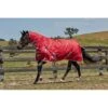 Weatherbeeta ComFiTec Classic Combo Pony Heavy -Ovation Store 206494 69