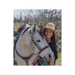 EZ Harmony Bitless Noseband -Ovation Store 206972 darkbrown 2