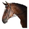 M. Toulouse Annice Hunter Bridle W/ Laced Reins -Ovation Store 207321