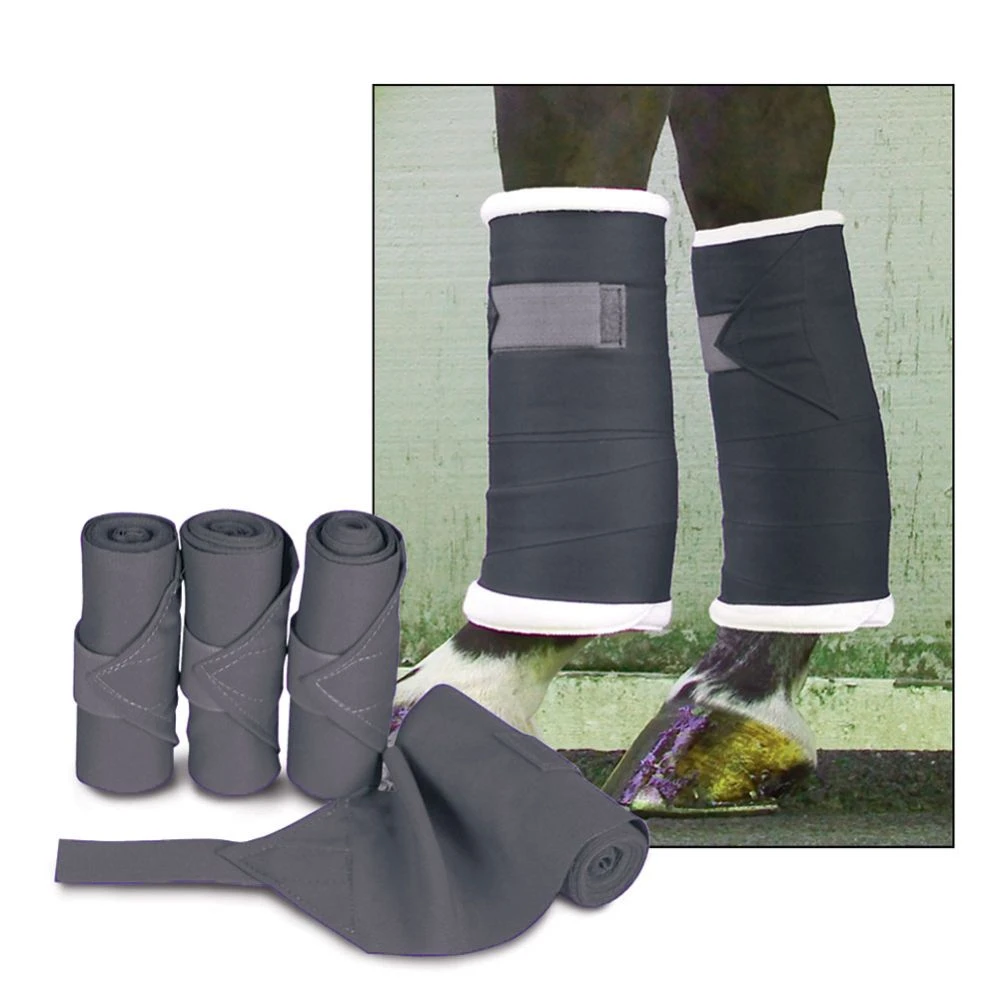 Toklat Standing Bandages 4 Toklat Standing Bandages - Image 2