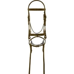 Camelot Lined Bridle -Ovation Store 2810611 brown