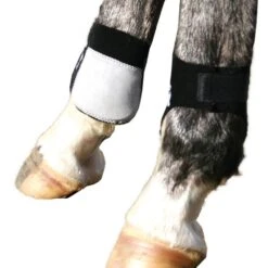 Professional's Choice Professional Choice Rear Ankle Boots -Ovation Store 2890026 black 1