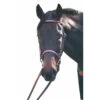 HDR Advantage Fancy Raised Bridle -Ovation Store 6210183 3