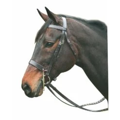 HDR Pro Collection Hunt Bridle
