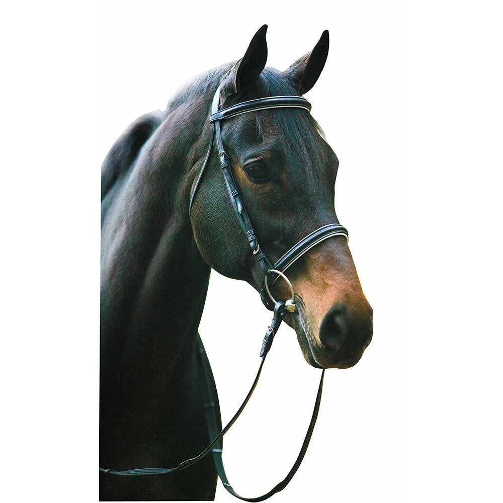HDR Pro Collection Dressage Snaffle Bridle 3 HDR Pro Collection Dressage Snaffle Bridle