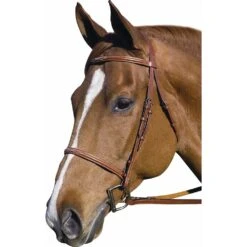 HDR Pro Collection Fancy Raised Bridle