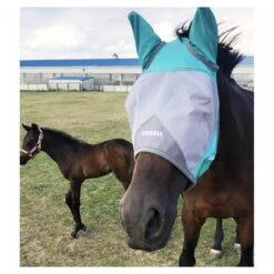Majyk Equipe UV Protection Fly Mask -Ovation Store NAMEA7turquoise 2