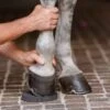 EquiFit HoofSavers 2 EquiFit HoofSavers -Ovation Store NS01292 2
