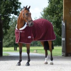 WeatherBeeta Standard Neck Sherpa Fleece Cooler