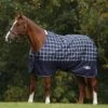 Saxon Defiant 600D Standard Neck Lightweight Turnout -Ovation Store NS10063420 navyplaid 15