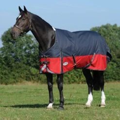 Weatherbeeta ComFiTec PLUS Dynamic II Standard Neck Medium -Ovation Store NS1006914 blackred 24