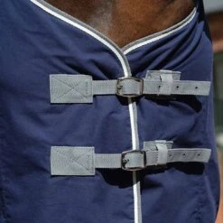 Saxon Weatherbeeta Cotton Show Sheet With Surcingles II -Ovation Store NS1007764 1