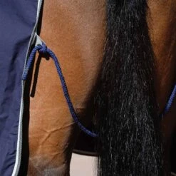 Saxon Weatherbeeta Cotton Show Sheet With Surcingles II -Ovation Store NS1007764 3