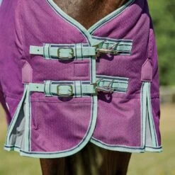 Weatherbeeta ComFiTec Premier Freedom Pony Detach-A-Neck Lite -Ovation Store NS100941 4 1