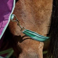 Weatherbeeta ComFiTec Premier Freedom Pony Detach-A-Neck Medium 10 Weatherbeeta ComFiTec Premier Freedom Pony Detach-A-Neck Medium -Ovation Store NS100942 2 1