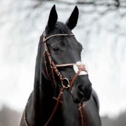 Horze Valencia Figure 8 Bridle -Ovation Store NS10116 brown 4
