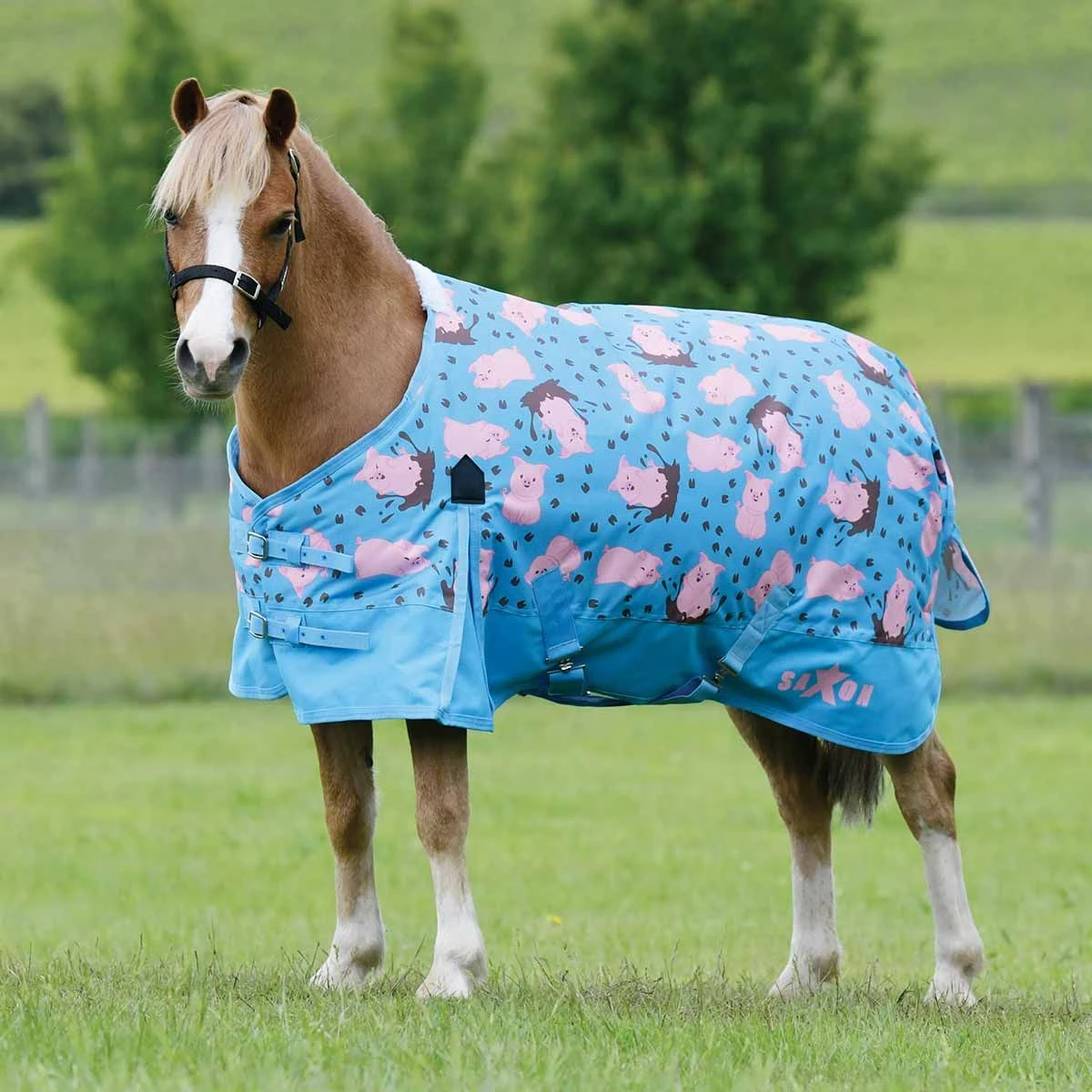 Saxon 600D Pony Standard Neck Medium 3 Saxon 600D Pony Standard Neck Medium