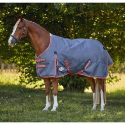 Weatherbeeta Comfitec Essential Plus Standard Neck Medium