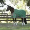 Weatherbeeta Comfitec Prelim Standard Neck Medium -Ovation Store NS1019301 greenredwhite1 8