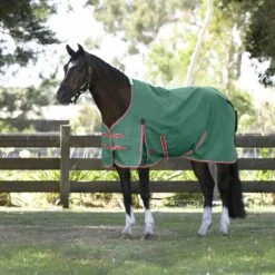 Weatherbeeta Comfitec Prelim Standard Neck Medium