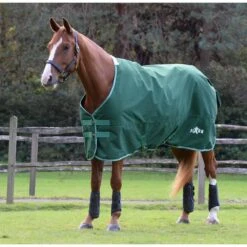 Saxon Defiant 1200D Standard Neck Medium -Ovation Store NS1021811 greenwhite 9