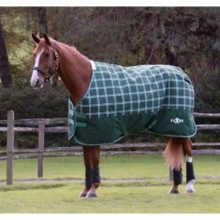 Saxon Defiant 1200D Standard Neck Lite