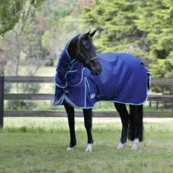 Weatherbeeta Comfitec Ultra Tough III Detach-a-Neck Medium