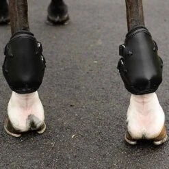 EquiFit AmpTeq Hind Boot 9 EquiFit AmpTeq Hind Boot -Ovation Store NS11251 2