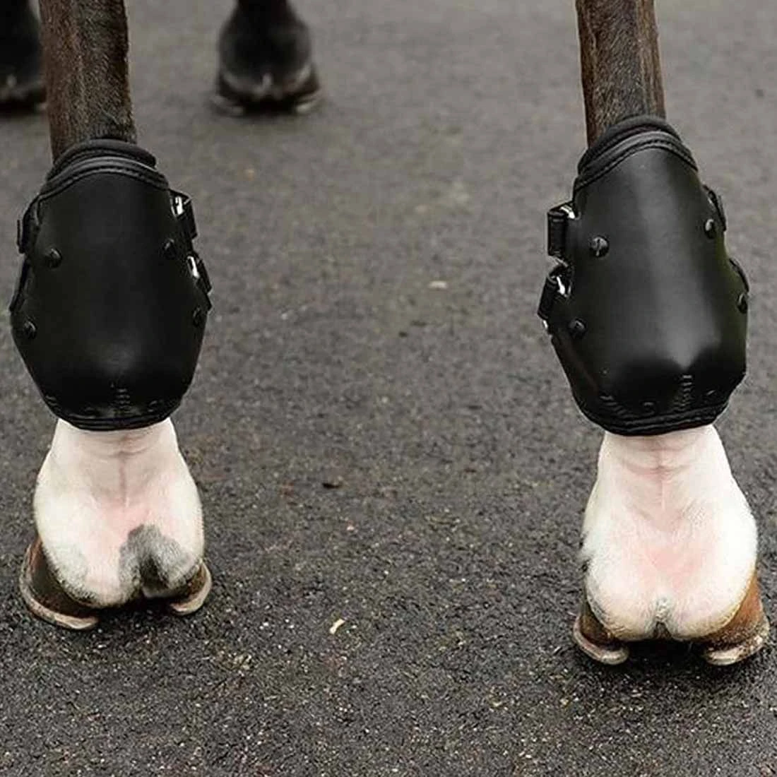 EquiFit AmpTeq Hind Boot 5 EquiFit AmpTeq Hind Boot - Image 3