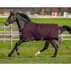 Amigo Hero Ripstop Lite 0g -Ovation Store NS20501 fignavy 6