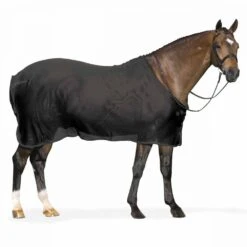 Centaur Show Scrim Sheet 7 Centaur Show Scrim Sheet -Ovation Store NS465325 blackv2 2