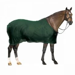 Centaur Show Scrim Sheet 9 Centaur Show Scrim Sheet -Ovation Store NS465325 huntergreenv2 3