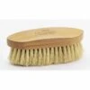 Natural Tampico Bristle Dandy Brush 1 Natural Tampico Bristle Dandy Brush -Ovation Store NS467892 large 1