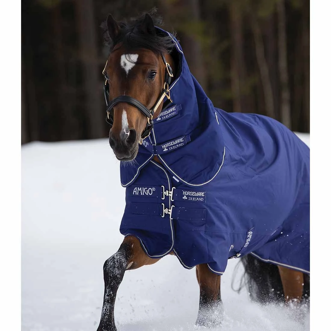 Amigo Hero 900 Plus Medium 200g 3 Amigo Hero 900 Plus Medium 200g