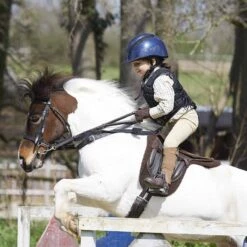 Champion Titanium Ti22 Body Protector Toddler