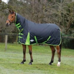 WeatherBeeta ComFitec Classic Combo Heavy -Ovation Store NS801490 Blacklime 23