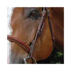 Vespucci 1/2" Hunter Bridle Cheek Piece - Hook Stud -Ovation Store NS810015 oakbark 2