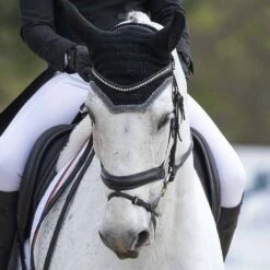 Vespucci Double Raised Weymouth Bridle - New Style -Ovation Store NS810418N 3