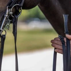 Vespucci Double Raised Weymouth Bridle - New Style -Ovation Store NS810418N 4