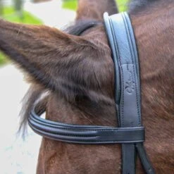Vespucci Classic Dressage Bridle - New Style -Ovation Store NS810421N 2 1