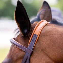 Vespucci Fancy Raised Hunter Bridle - New Style -Ovation Store NS810434N 4